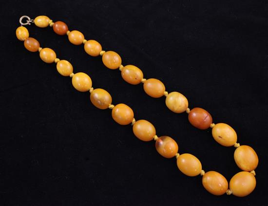 A single strand graduated amber bead necklace, 17in.